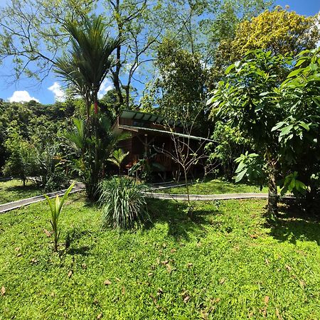 Centro Ananda Bed & Breakfast Guapiles Bagian luar foto