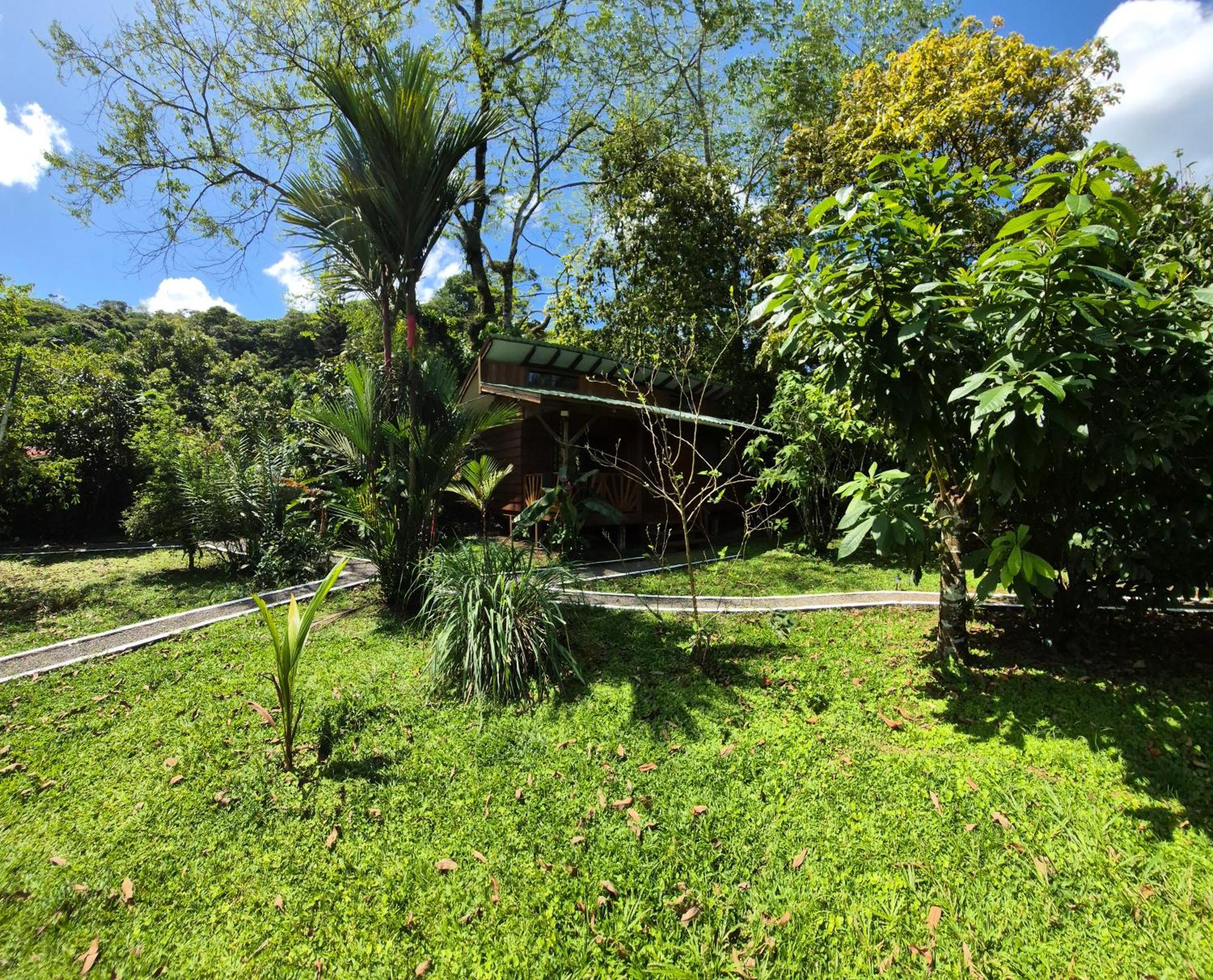 Centro Ananda Bed & Breakfast Guapiles Bagian luar foto