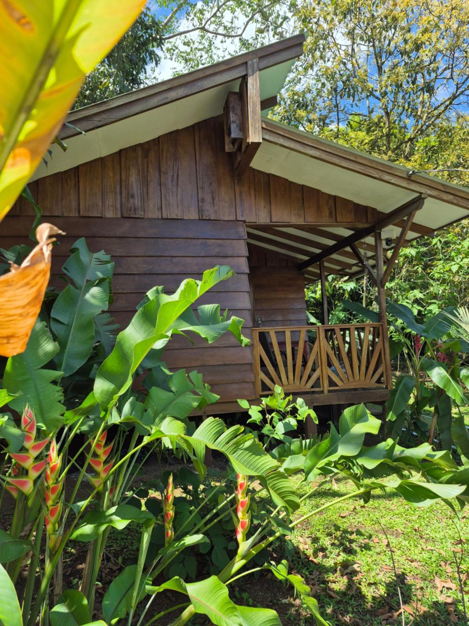 Centro Ananda Bed & Breakfast Guapiles Bagian luar foto